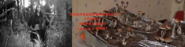 героин Касимов