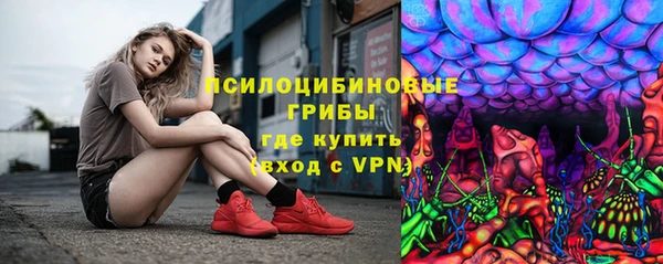 mdpv Великий Новгород