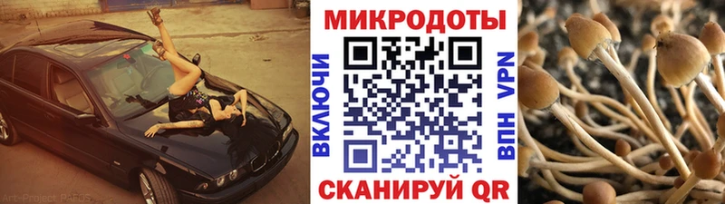 Галлюциногенные грибы мицелий Куса