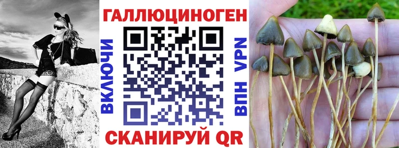 Псилоцибиновые грибы мухоморы  что такое   hydra зеркало  Куса 